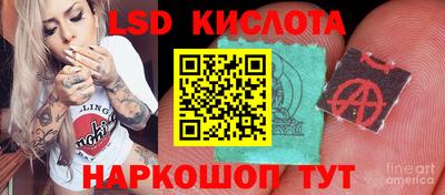 ГАЛЛЮЦИНОГЕННЫЕ ГРИБЫ Кунгур