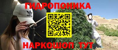ГАЛЛЮЦИНОГЕННЫЕ ГРИБЫ Кунгур