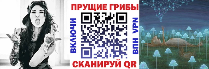 Галлюциногенные грибы Psilocybe Карпинск