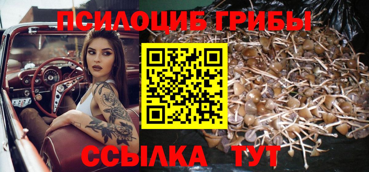 Галлюциногенные грибы мухоморы Карпинск